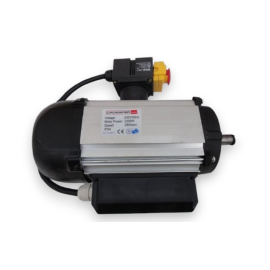 Moteur pour scie Crossfer WS 450/500 – 230V – 2800 tr/min