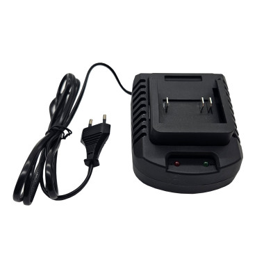 Chargeur 2,2 A pour scarificateur