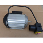 Moteur scie 2200 Watts 220V 2850T/min Hecht