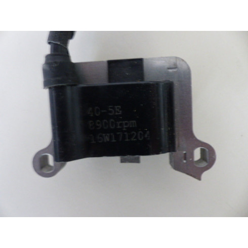 Volant magnétique bobine moteur Hecht 151