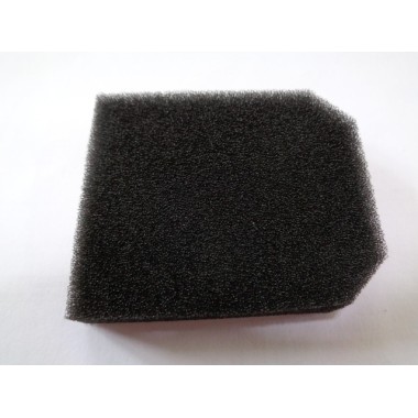 Filtre air débroussailleuse Hecht 124