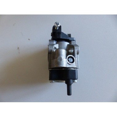 Carburateur souffleur taille haie Hecht 2