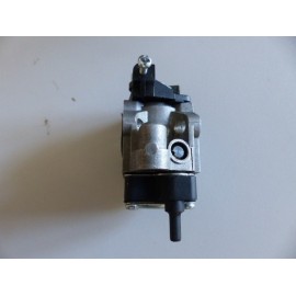 Carburateur souffleur taille haie Hecht