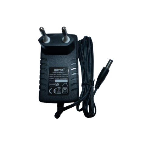 Chargeur batterie 12V tondeuse Hecht 543SWE et 5483SXE