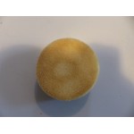 Filtre à air rond débroussailleuse Hecht
