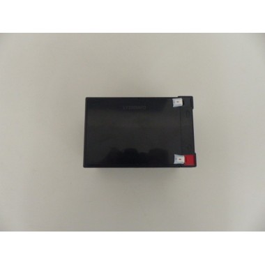 Batterie pour tondeuse 12V Hecht 2