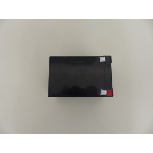 Batterie pour tondeuse 12V Hecht