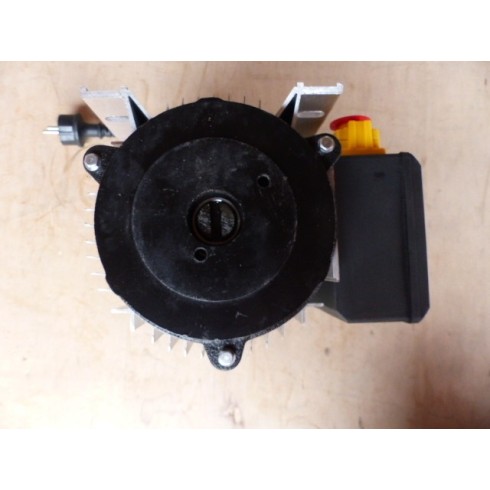 Moteur électrique 230V pour fendeuse Hecht 6080