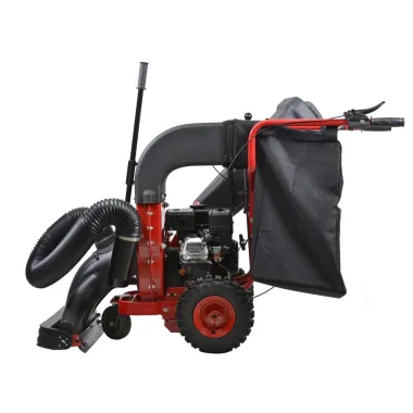 Aspirateur d'extérieur motorisé sur roues Hecht - Occasion - 2