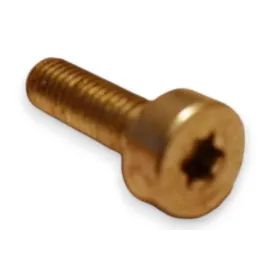 Vis BTR étoile 6 X 20 mm fixation sécurité tondeuse Hecht