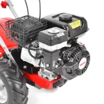 Motoculteur fraise de jardin 6.5 cv Hecht 750