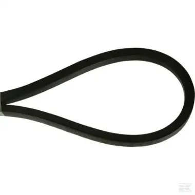 Courroie Z800LI tondeuse Hecht 556